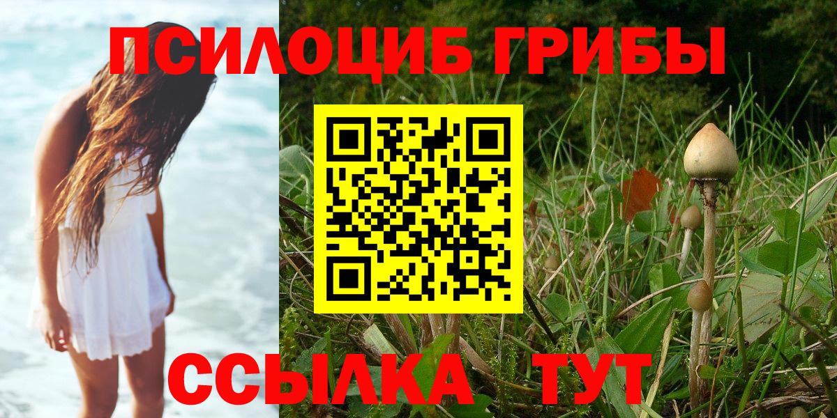 Галлюциногенные грибы мицелий  Псилоцибиновые грибы мицелий  Вход с VPN  Истра 