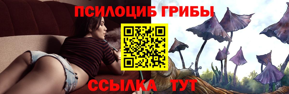 Псилоцибиновые грибы Истра